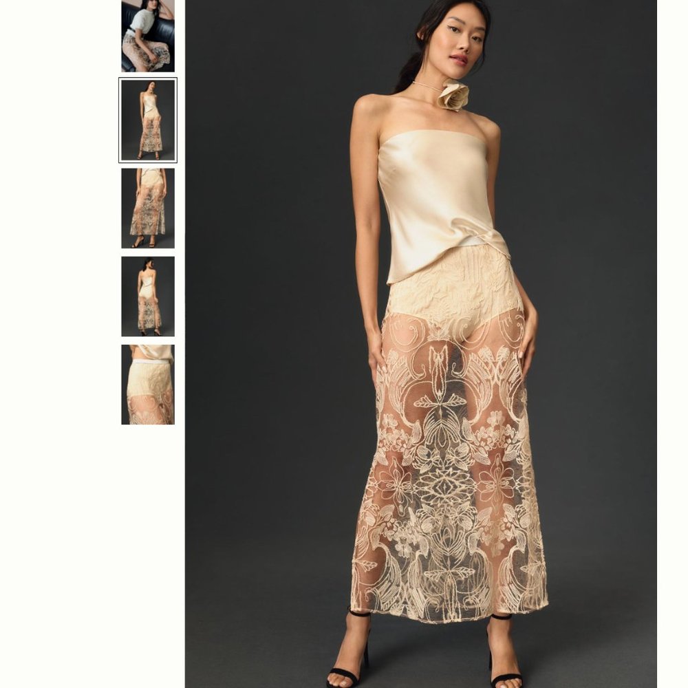 By Anthropologie Sheer Embroidered Skirt